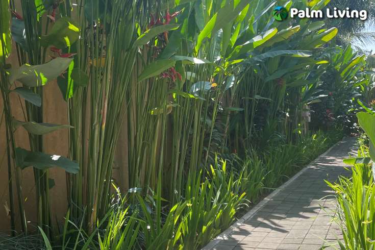 Popular Villa in Ubud for Sale