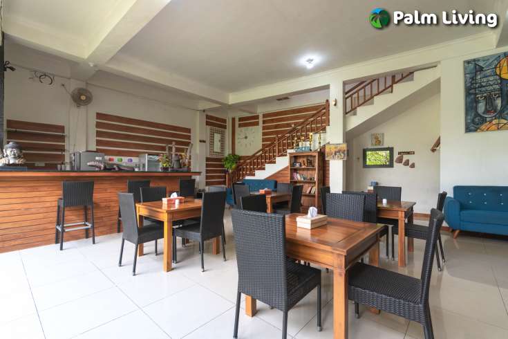 4 Luxury Apartments For Sale In Lovina