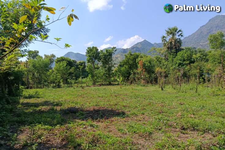 Freehold Land for sale in Pemuteran