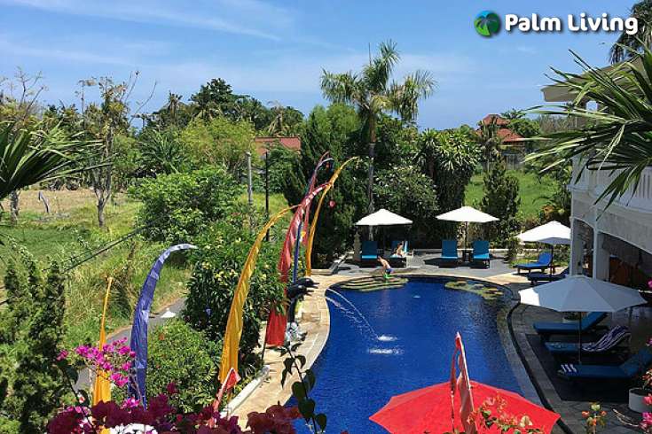 Luxury Boutique Hotel Sale Close Lovina Central