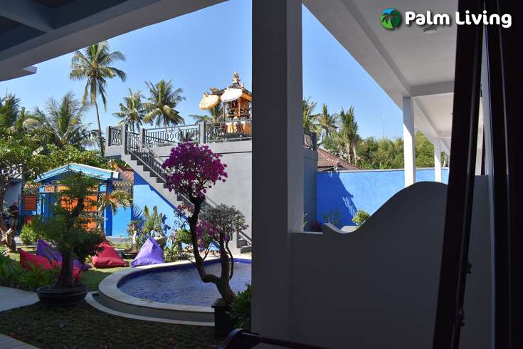 Guest House For Sale In Lovina