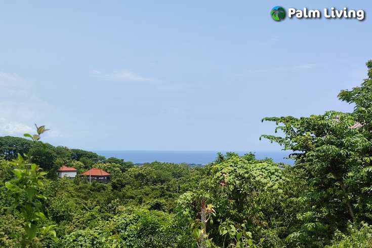 Freehold Land in the Hills for Sale