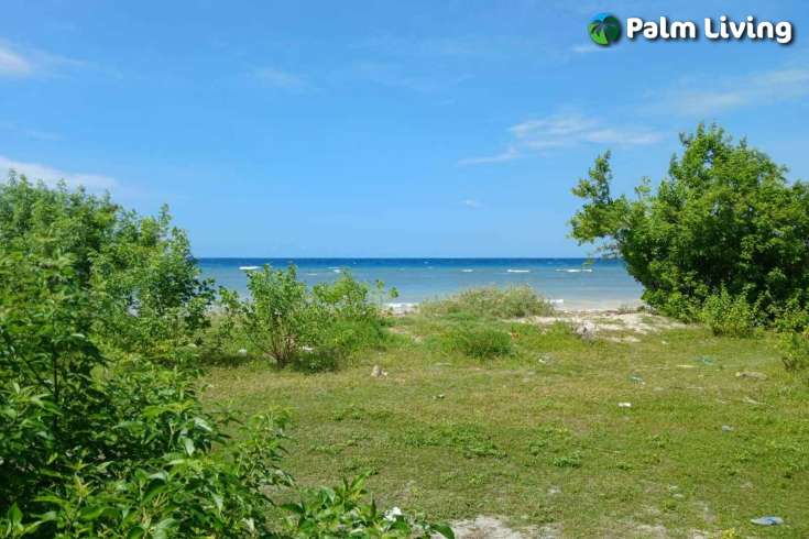 Two Vast Beachfront Plots for Sale in Londolima