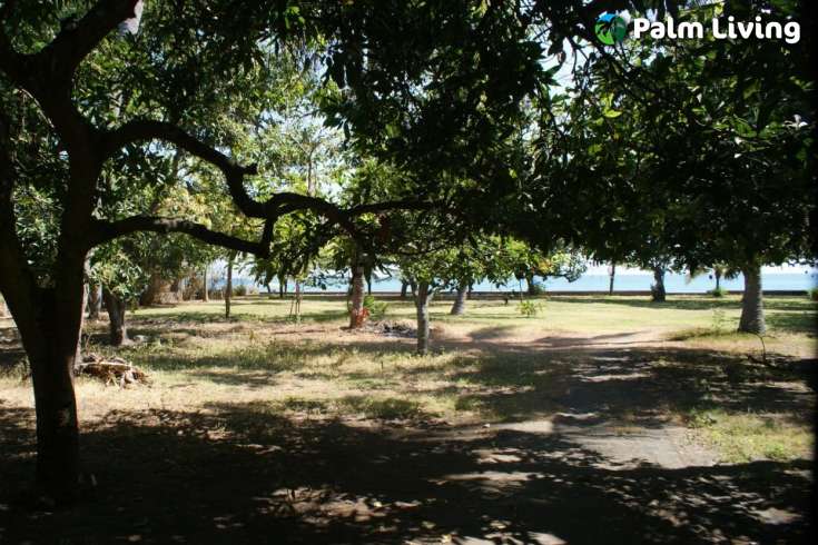 Prime Land for Sale - Development