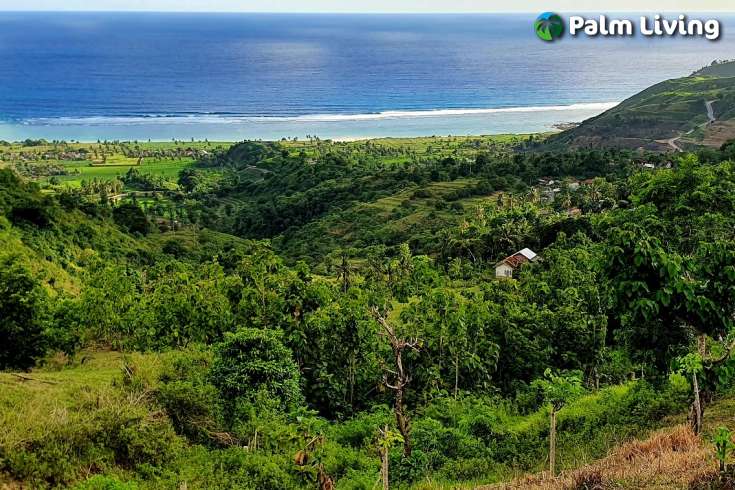 South Lombok Land for Sale with Exquisite Views