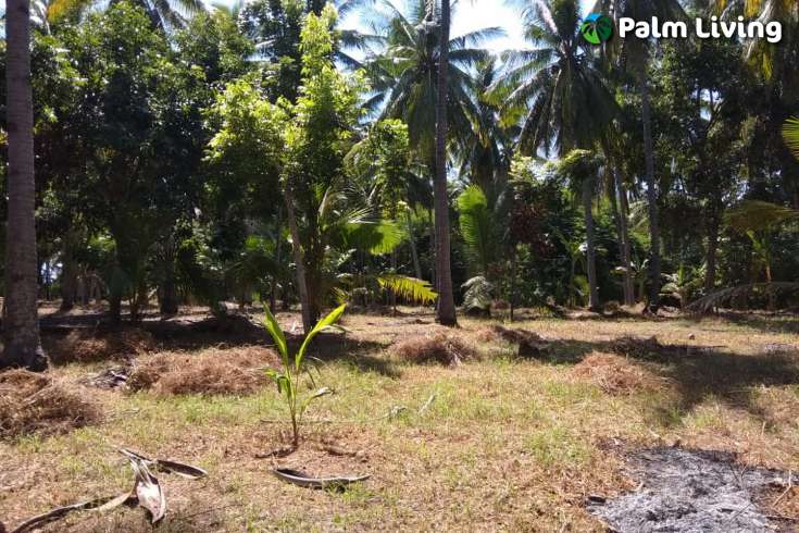 Beachfront Land In Lombok For Sale