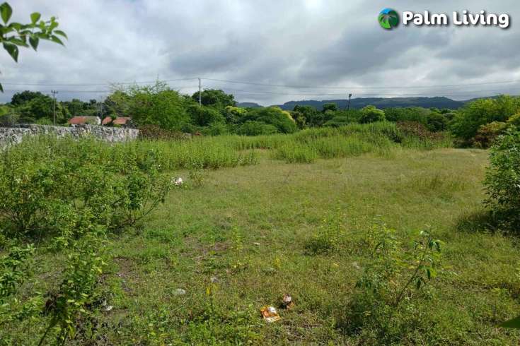 Two Vast Beachfront Plots for Sale in Londolima