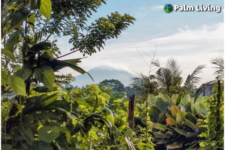 Studio Apartment for Sale in Penestanan