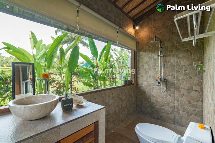 Guesthouse for Sale in Rice Fields