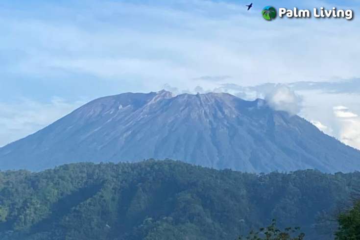 East Bali Land for Sale
