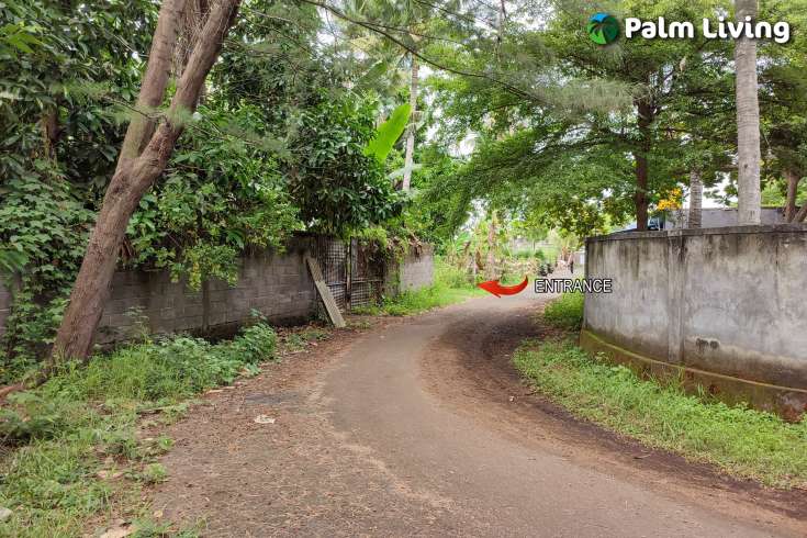 Huge Plot of Land for Sale In Lovina