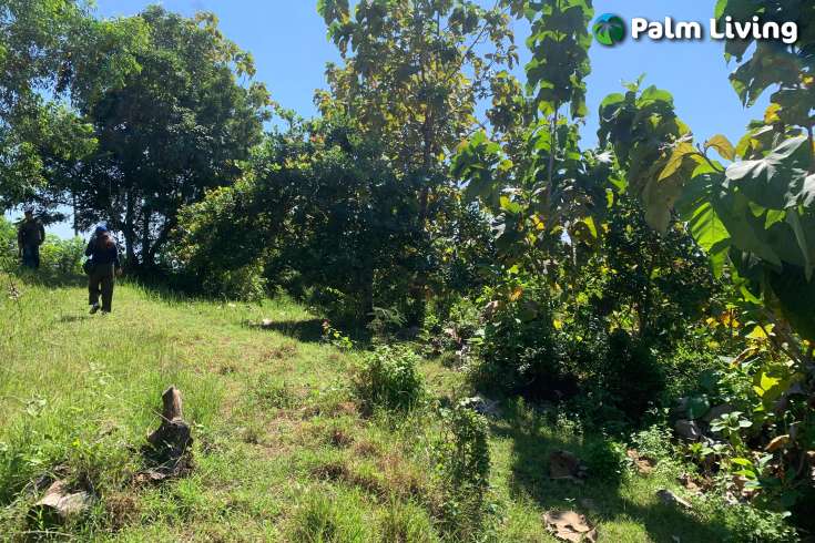 Sloping Land with Ocean & Jungle Views