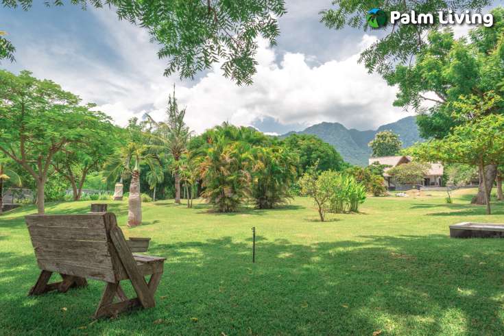 Villa or Yoga Retreat Estate in Pemuteran