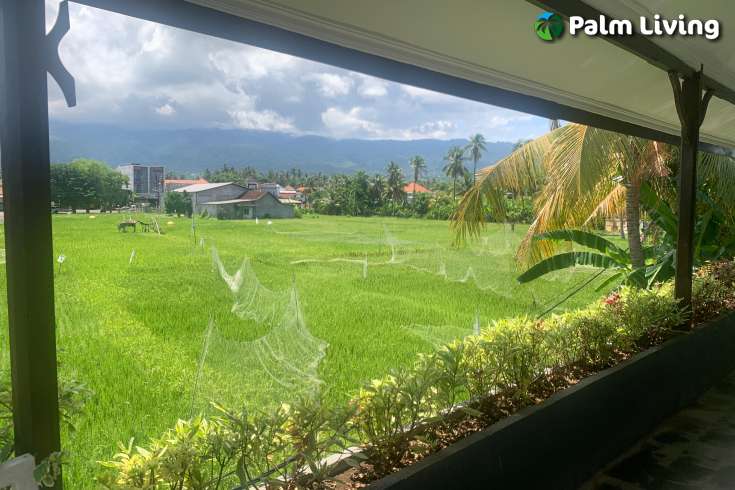 Prime Beachfront Hotel for Sale
