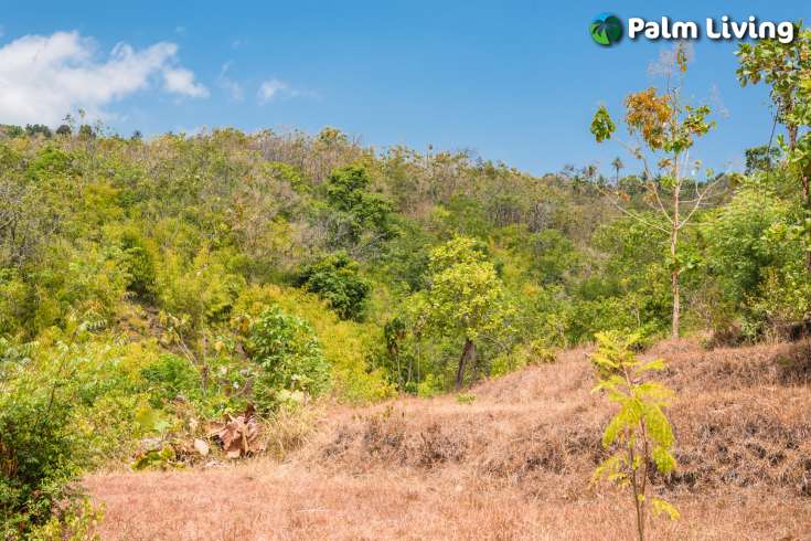 Hillside Ocean View Land for Sale