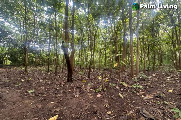 Simple & Affordable Land for Sale