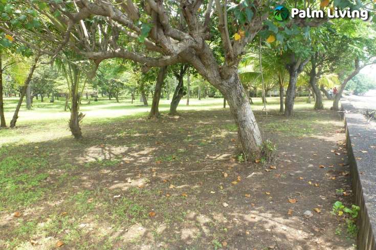 Prime Land for Sale - Development
