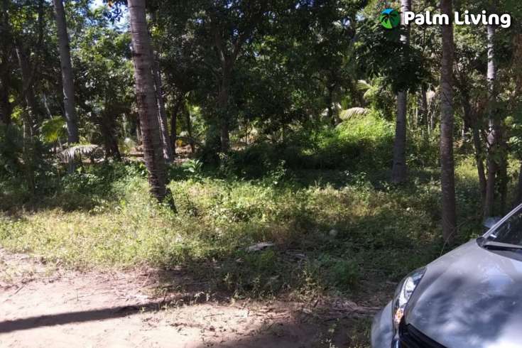Beachfront Land In Lombok For Sale