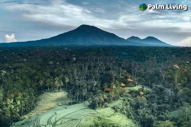Tabanan mountain resort for sale