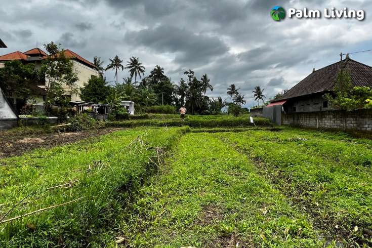 Leasehold Land in Ubud for Sale