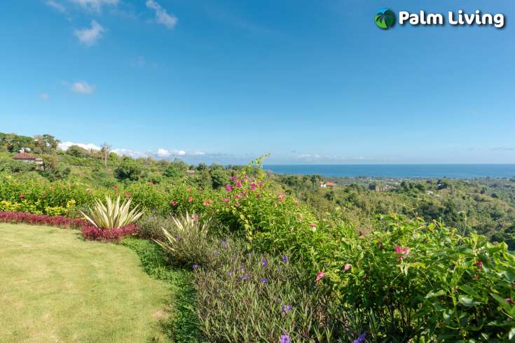 Luxury Villa For Sale in Kayuputih Lovina