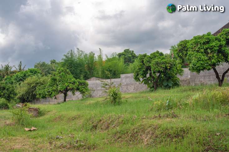 Prime Land for Sale in Kayuputih
