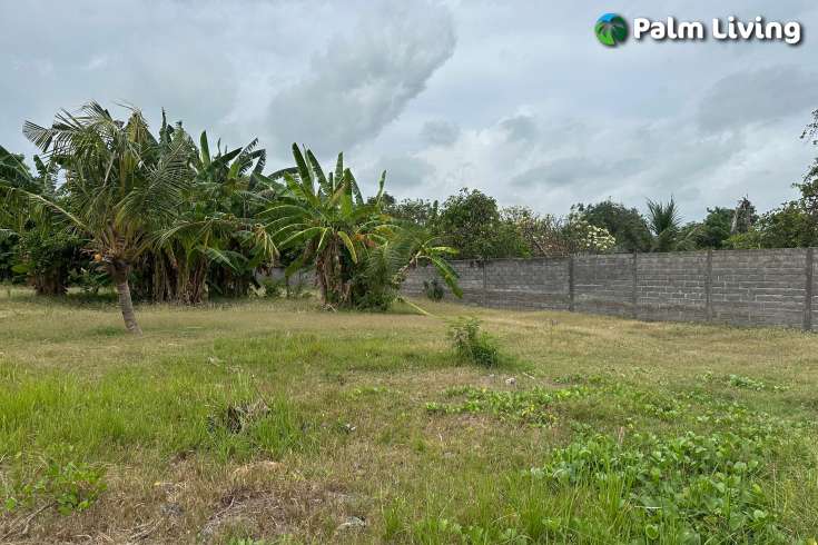 Beachfront Land West Lovina for Sale