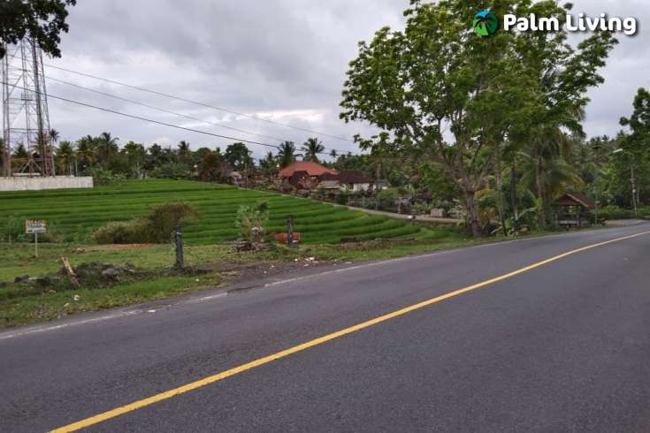 Land for Sale in Tabanan