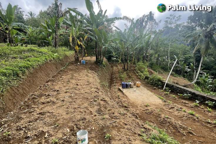 Tegallalang Land for Sale with Good View