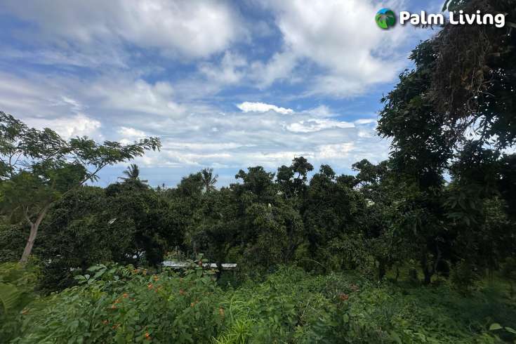 Land Hillside Kayuputih for Sale
