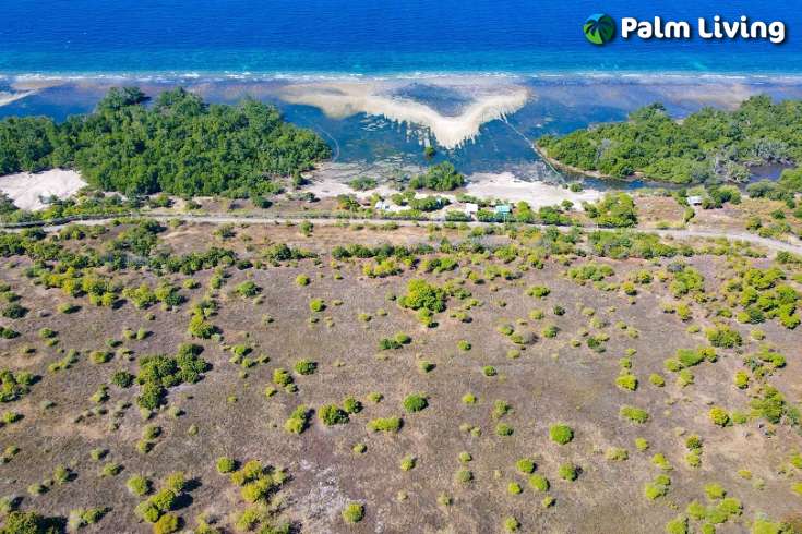 Huge Beachfront Land in Hamba Praing Sumba