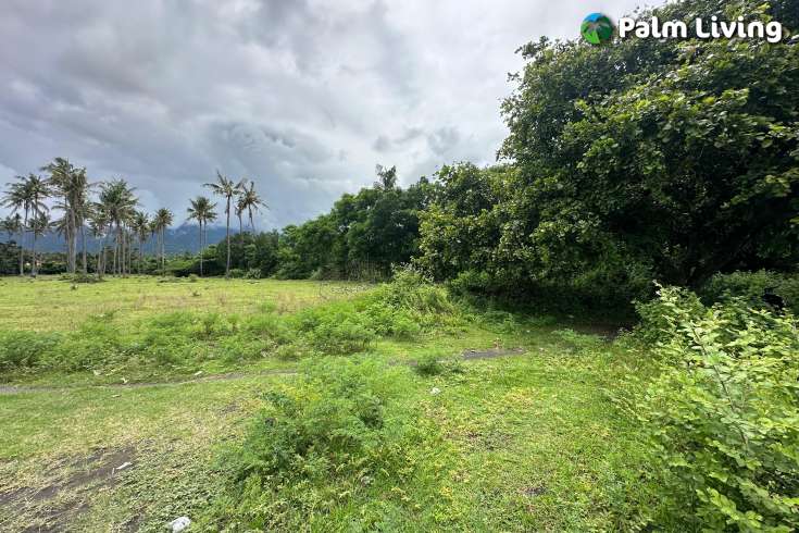 Large Plot of Land for Sale 1.6ha