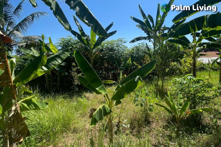Land Plot in Kayuputih for Sale
