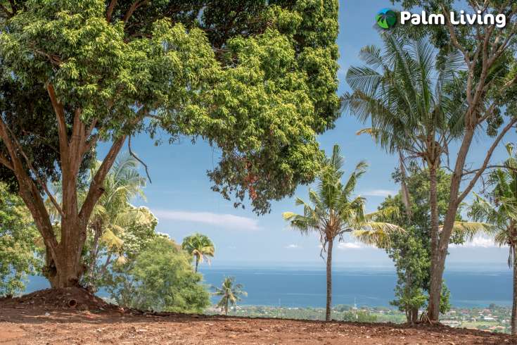 Land Plot Features Ocean View