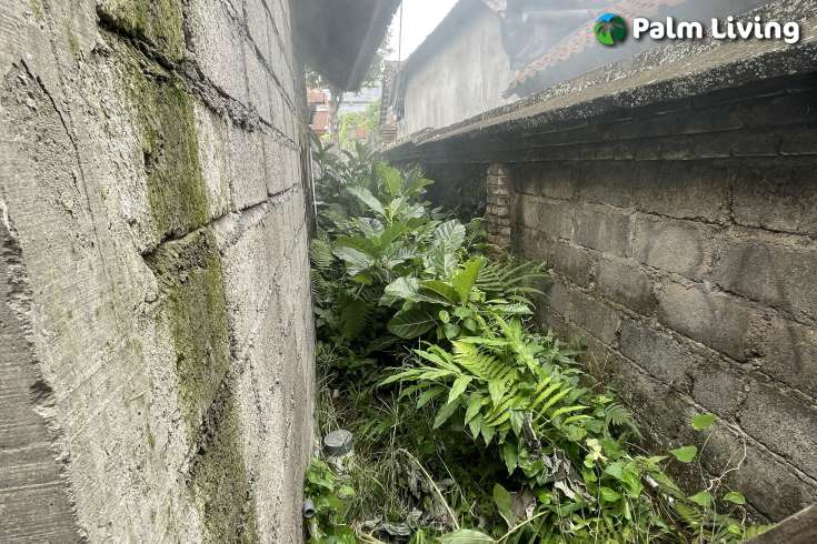 Small Plot of Land for Lease in Ubud