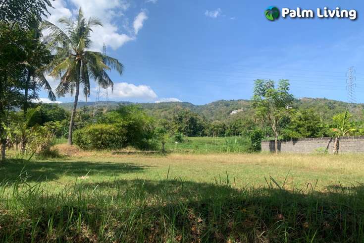 Primesized Land near Lovina for Sale