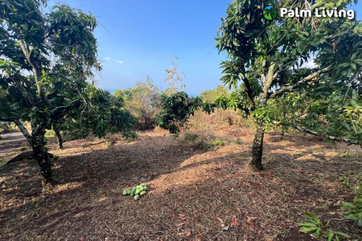 Cempaga Hillside Plot For Sale