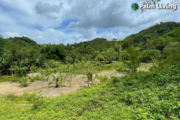 Attractive Land in South Lombok for Sale