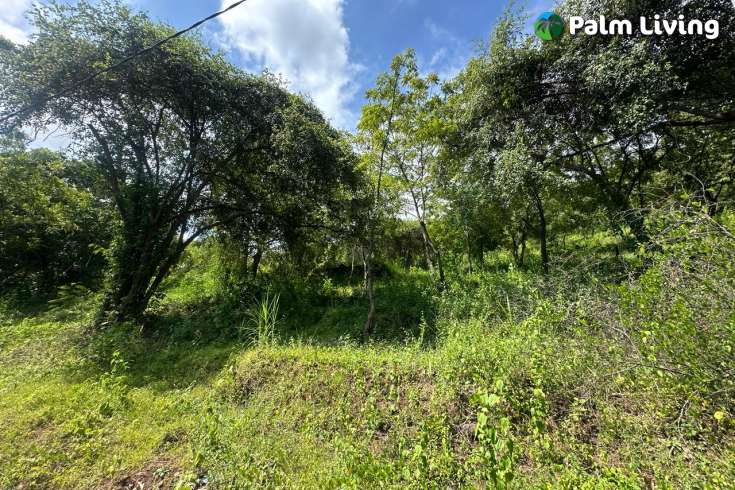Elevated Big Plot in Kaliasem for Sale