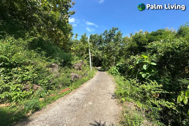 Elevated Big Plot in Kaliasem for Sale