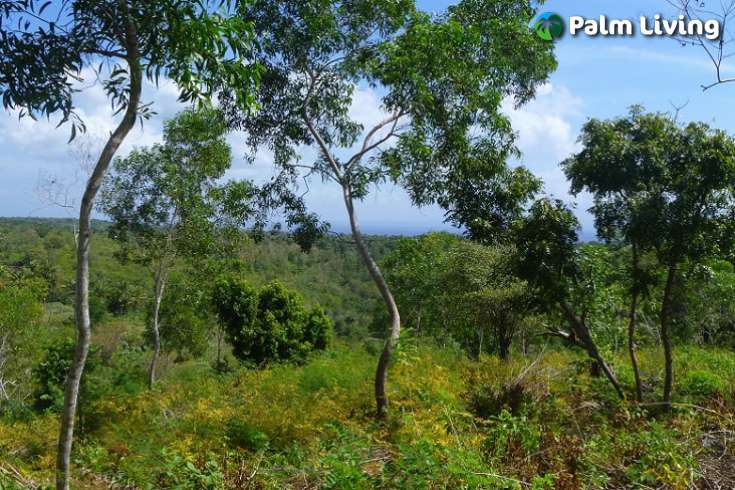 Nusa Penida Bali - Land For Sale