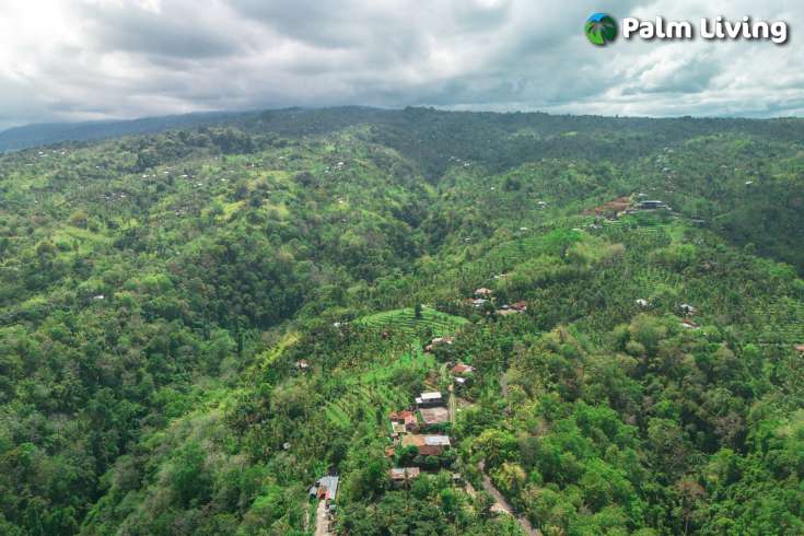 Unique Land Shape in the Hills