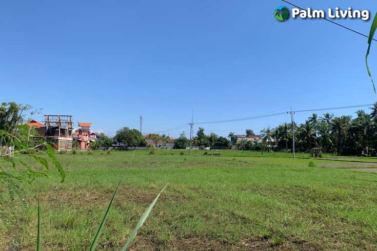 Centrally Located Land in Lovina for Sale