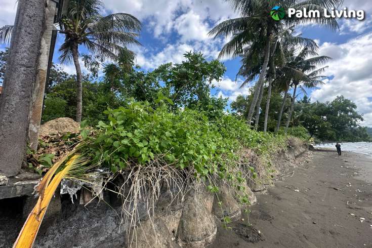 Rare Beachfront Land Close to Lovina