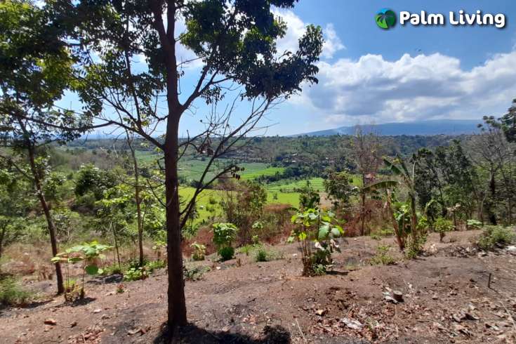 Hillside Land For Sale, North Bali