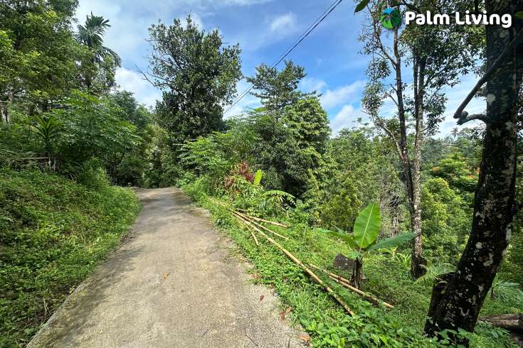 Land For Sale in Panji with Beautiful Sea View