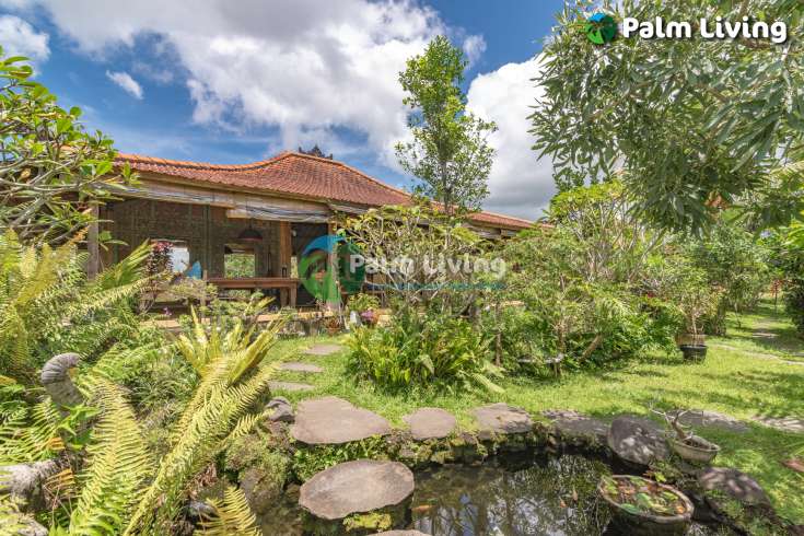 Guesthouse for Sale in Rice Fields