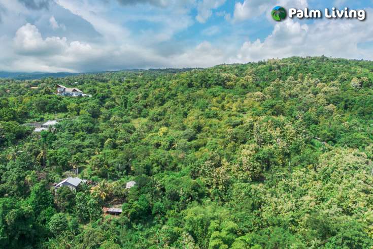 Elevated Big Plot in Kaliasem for Sale