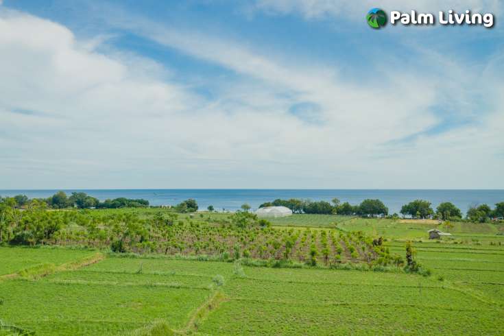 Land with Panoramic Views in Umeanyar