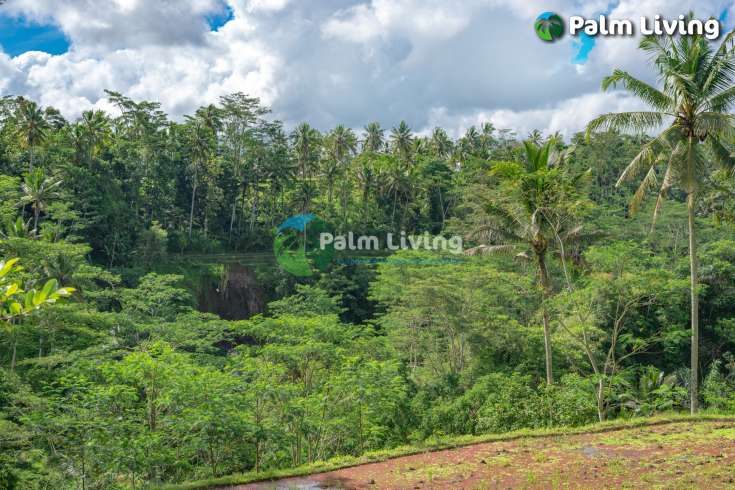 Prime Land for Sale Near Ubud